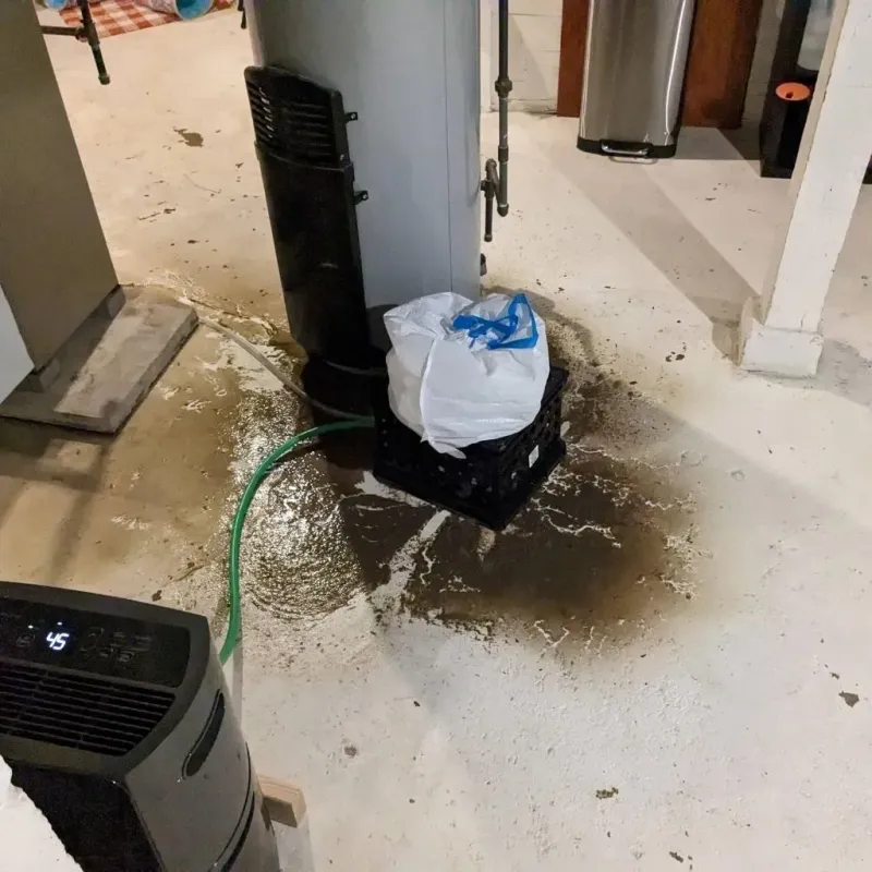 Sewage Backup Cleanup Service in Ironton, OH